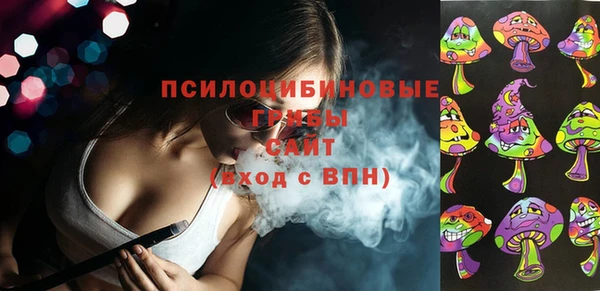 apvp Алексин
