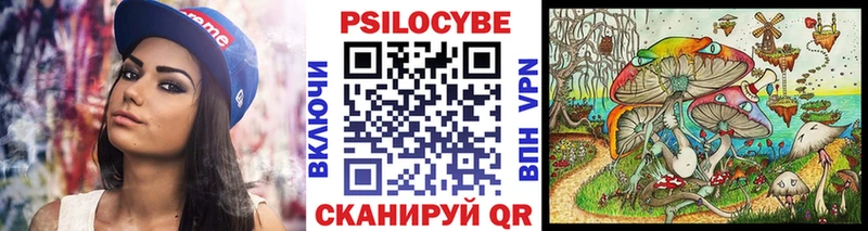 как найти закладки  Завитинск  Галлюциногенные грибы ЛСД 