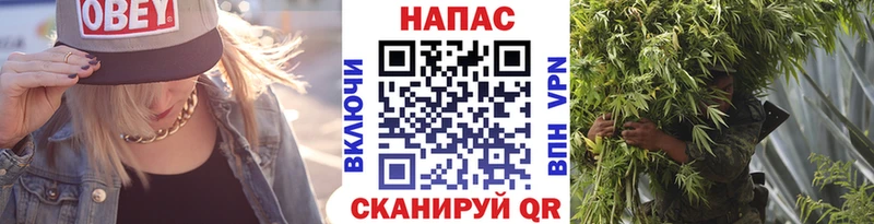 Бошки марихуана гибрид  Завитинск 